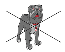 Bulldog Mascot Logo Mistake Squished