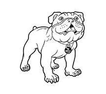 Bulldog Mascot Logo - Light